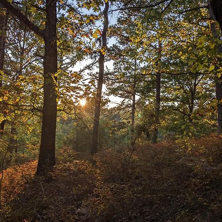 Loblolly Pines Adventure Cabin 4 King 유레카 스프링스 외부 사진